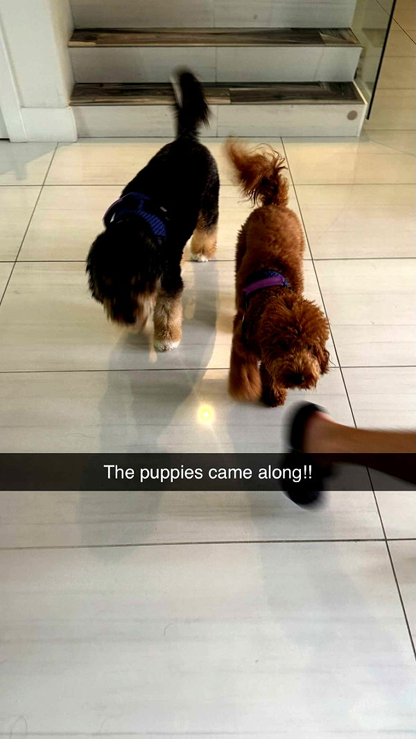 andieg112 snapchat image archive image