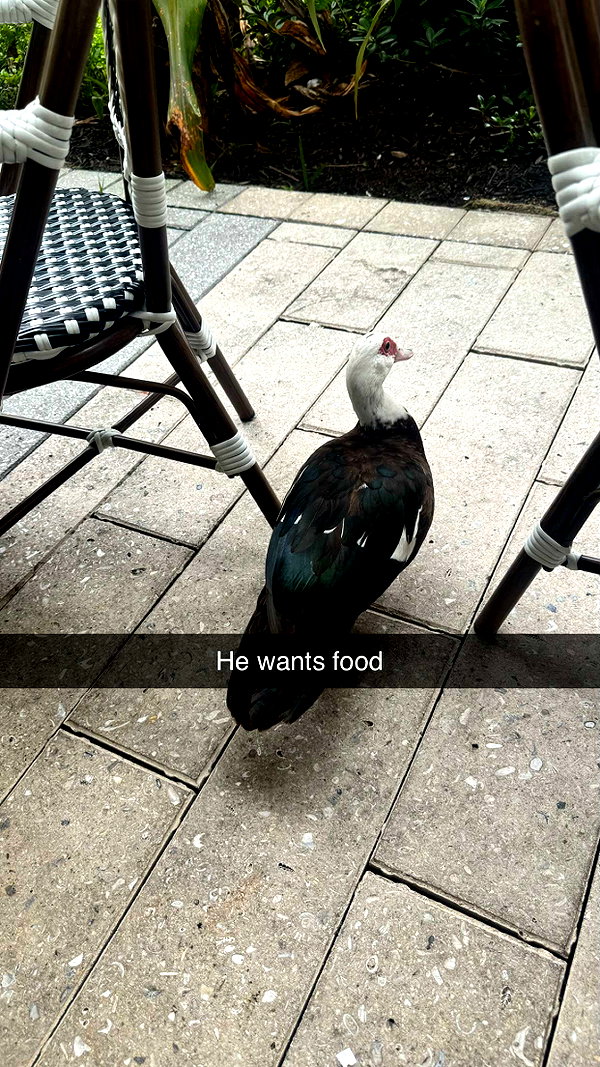 andieg112 snapchat image archive image