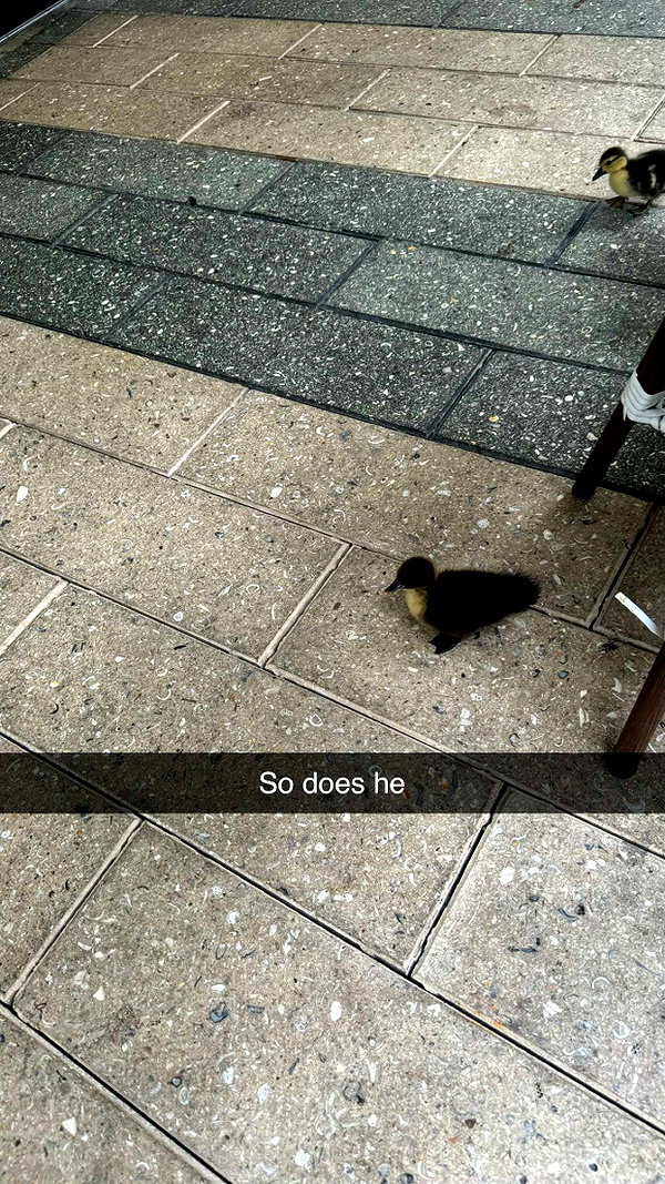 andieg112 snapchat image archive image