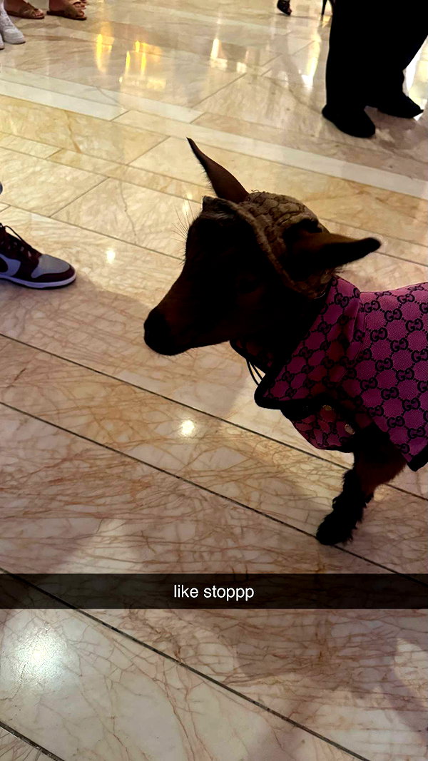 andieg112 snapchat image archive image