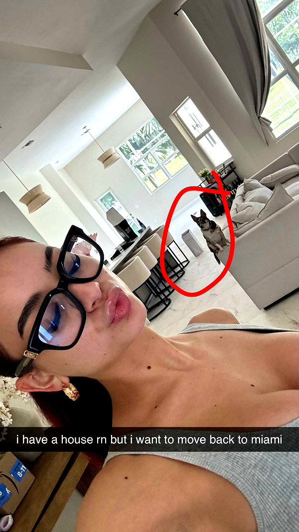 andieg112 snapchat image archive image