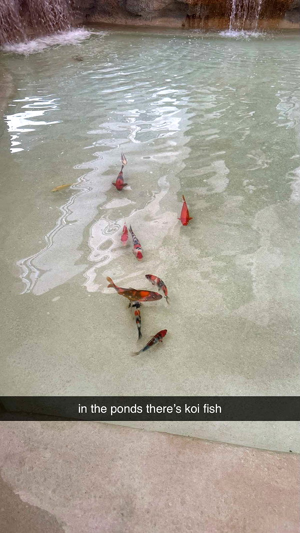 andieg112 snapchat image archive image
