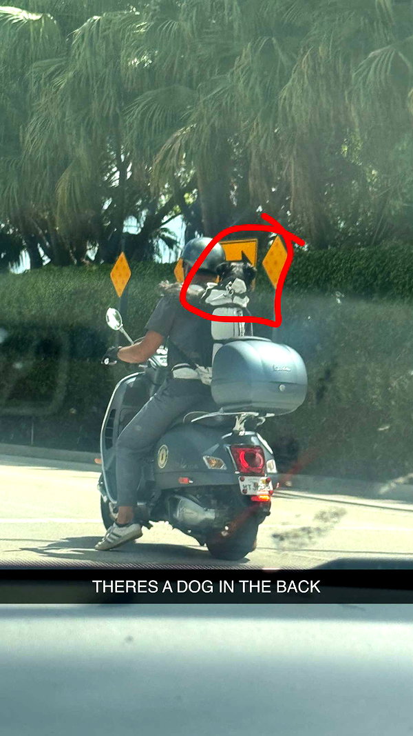 andieg112 snapchat image archive image