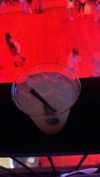 andieg112 Altpins Profile Picture