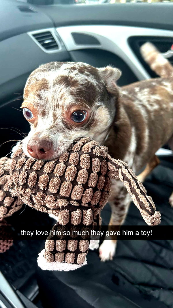 andieg112 snapchat image archive image