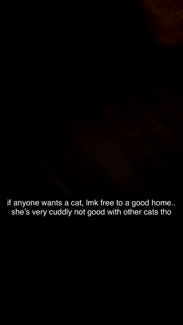angelinareinee7 snapchat image archive image