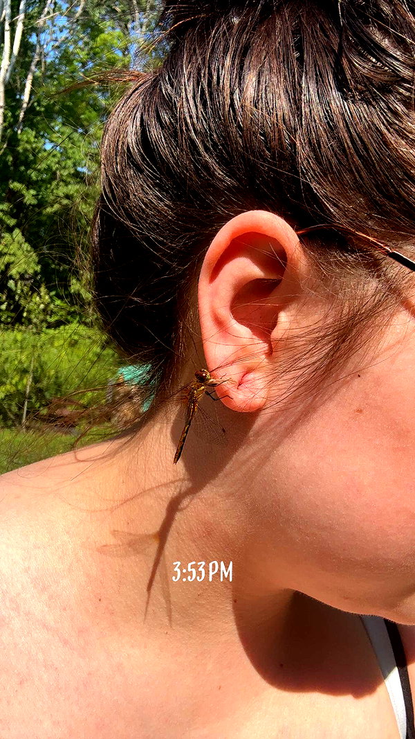 angelinareinee7 snapchat image archive image