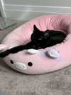ashhleyscarr Altpins Profile Picture
