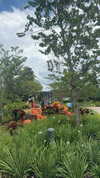 ashleyserranom Altpins Profile Picture