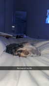 ashleyserranom Altpins Profile Picture