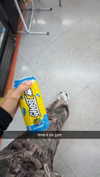 ashleyserranom Altpins Profile Picture