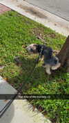 ashleyserranom Altpins Profile Picture