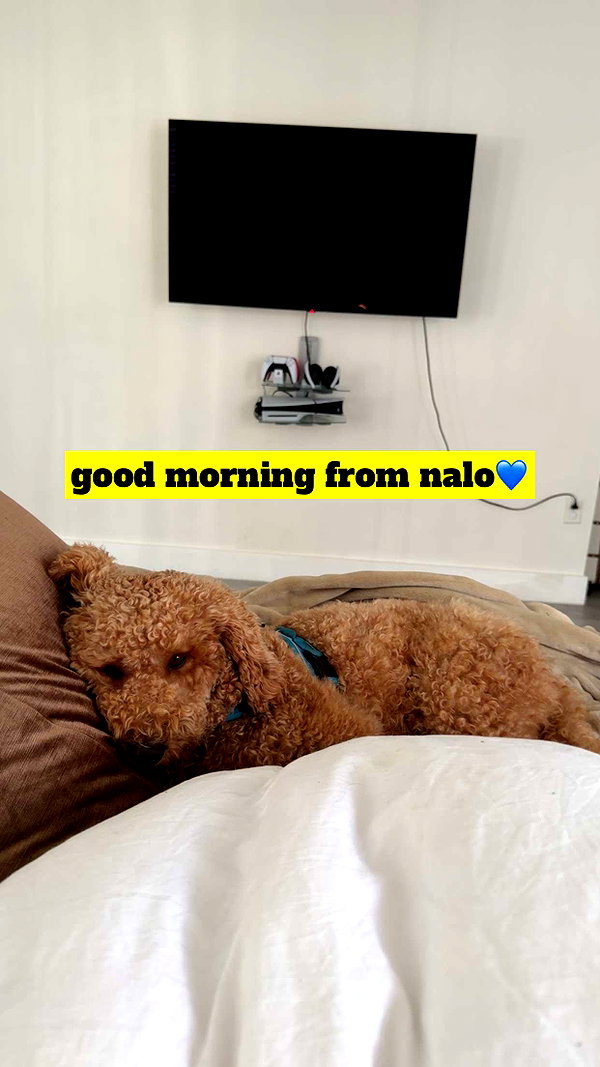 ashleyserranom snapchat image archive image