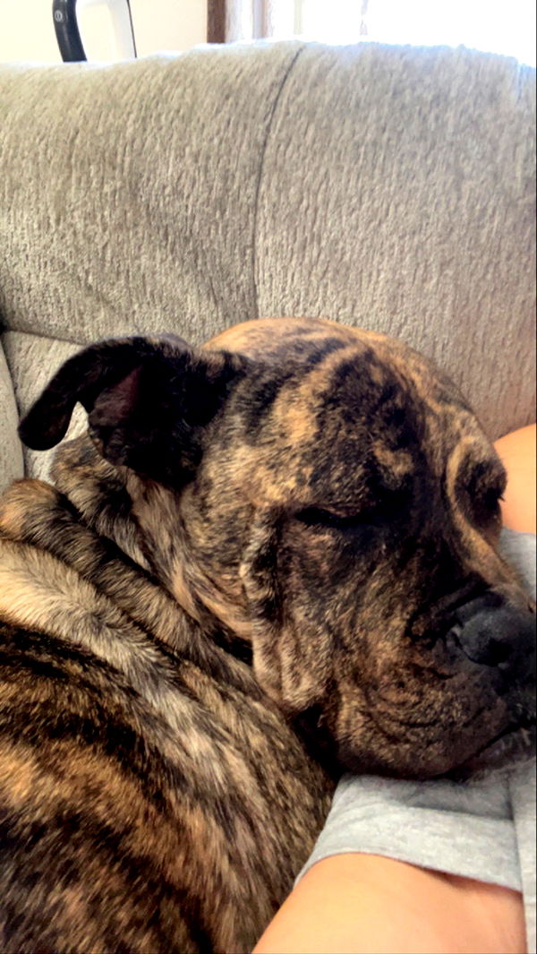 ava_savinoo image ~ Altpins