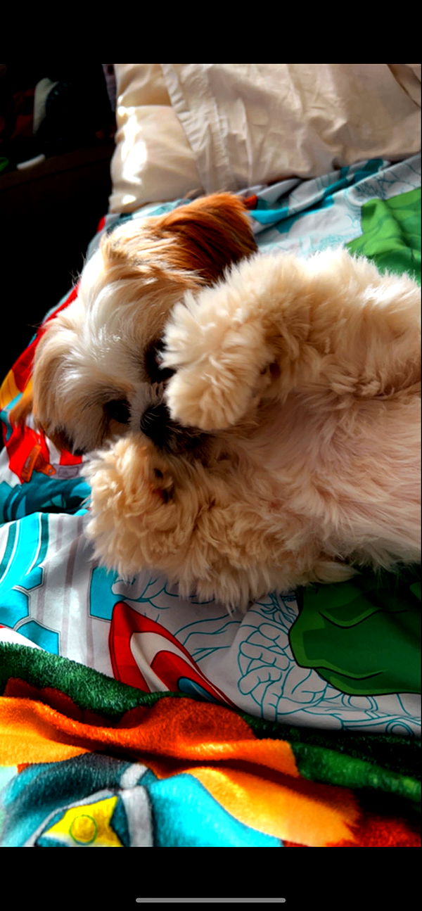 ava_savinoo image ~ Altpins