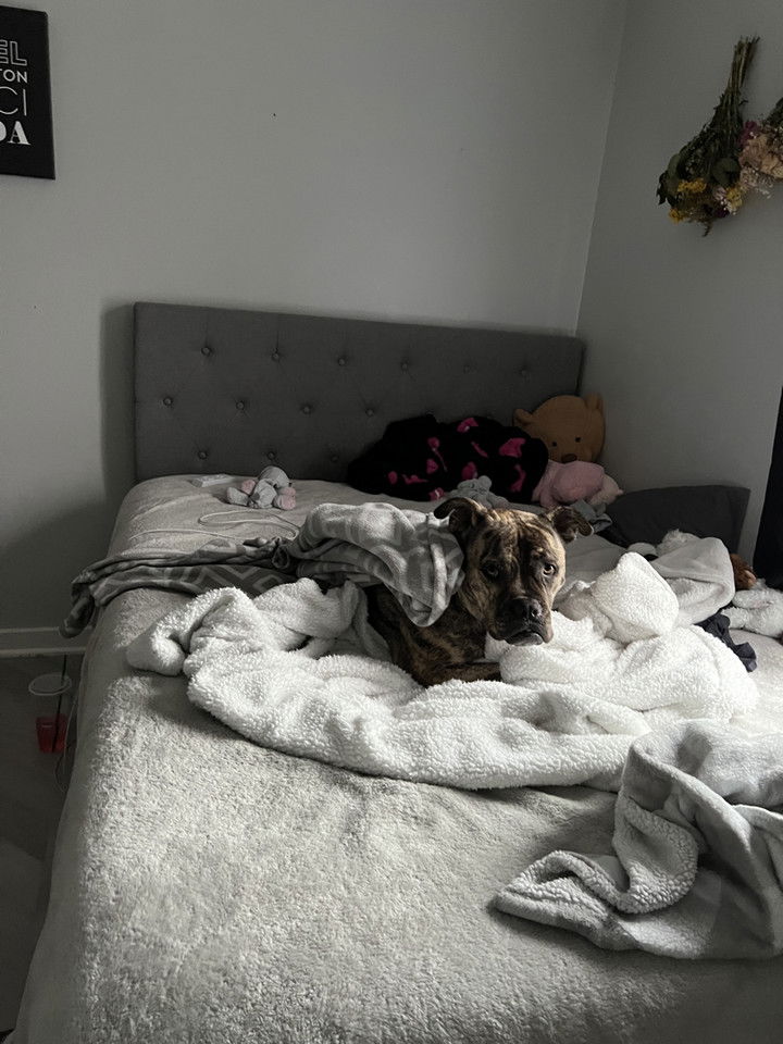 ava_savinoo snapchat image archive image