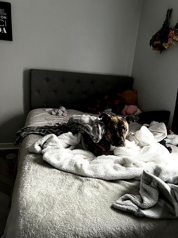 ava_savinoo image ~ Altpins