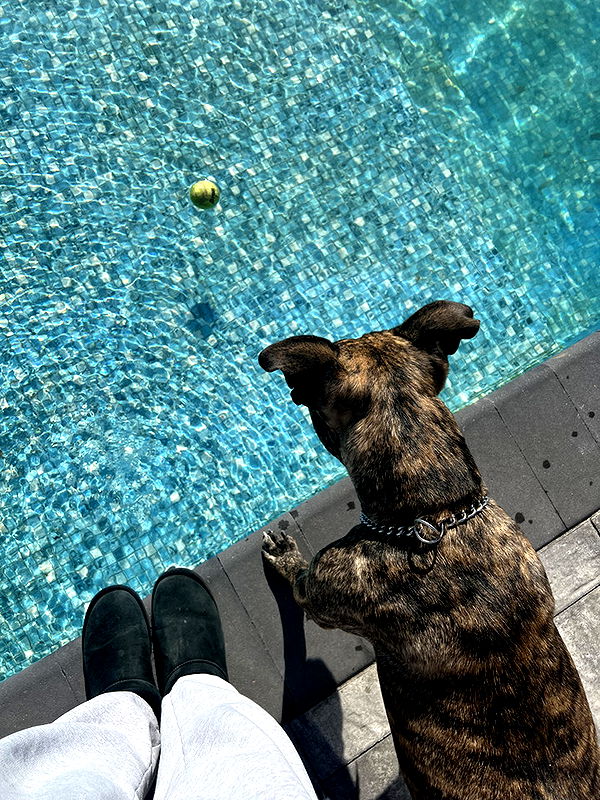 ava_savinoo image ~ Altpins