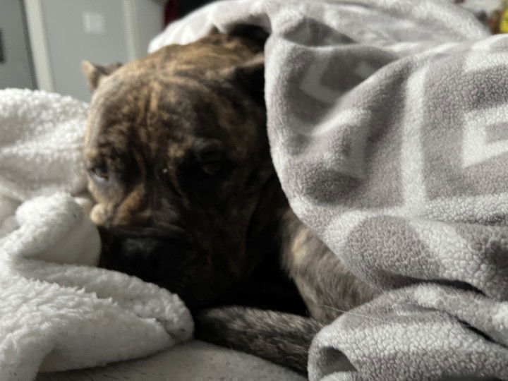 ava_savinoo snapchat image archive image