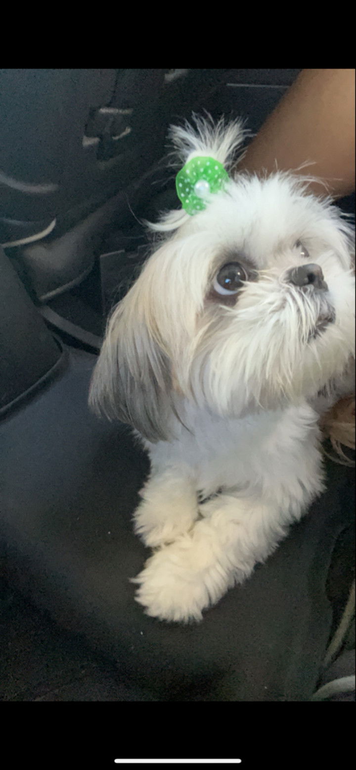 ava_savinoo snapchat image archive image