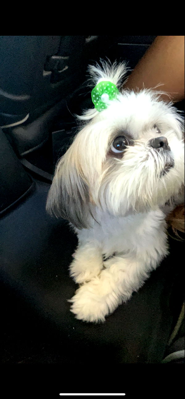 ava_savinoo image ~ Altpins