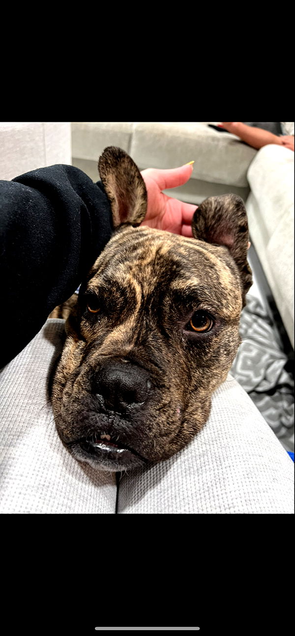 ava_savinoo image ~ Altpins