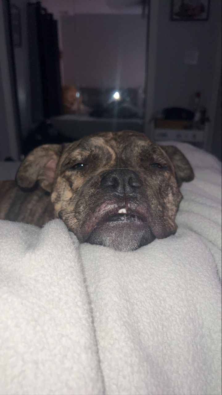 ava_savinoo snapchat image archive image