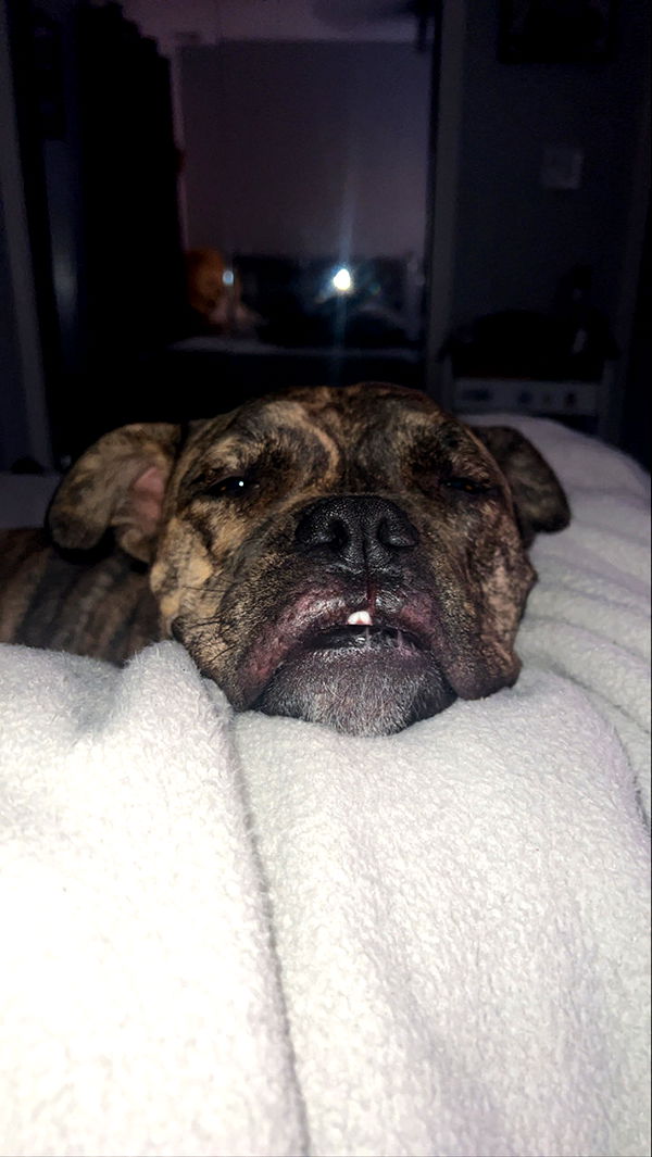 ava_savinoo image ~ Altpins