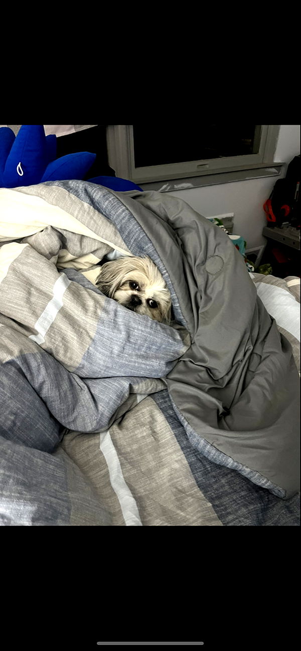 ava_savinoo image ~ Altpins