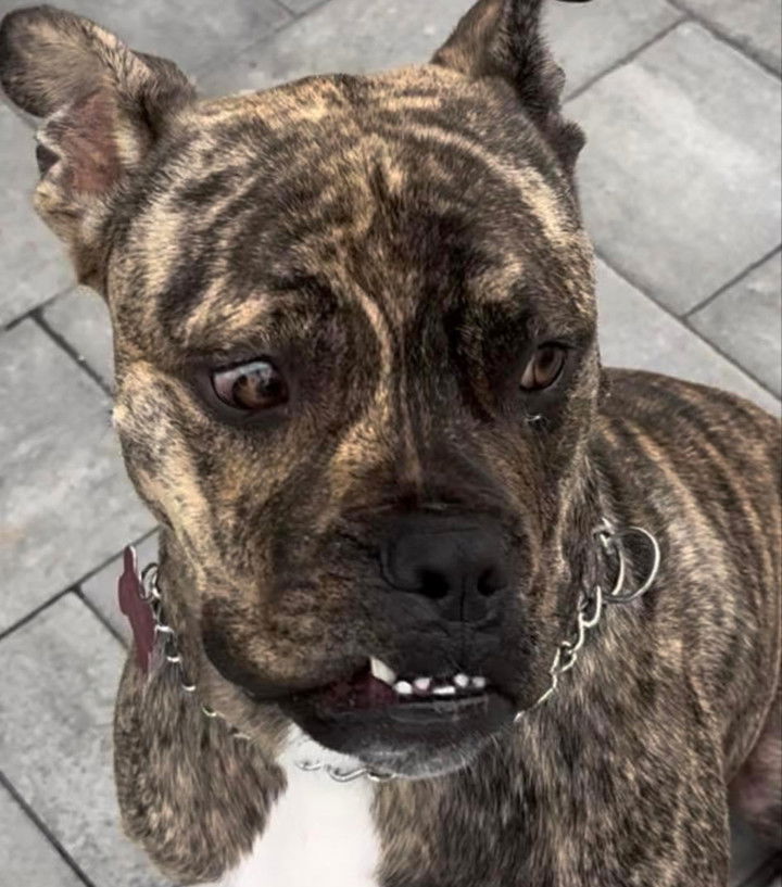 ava_savinoo snapchat image archive image