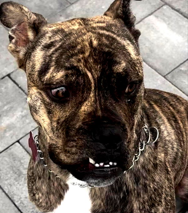 ava_savinoo image ~ Altpins