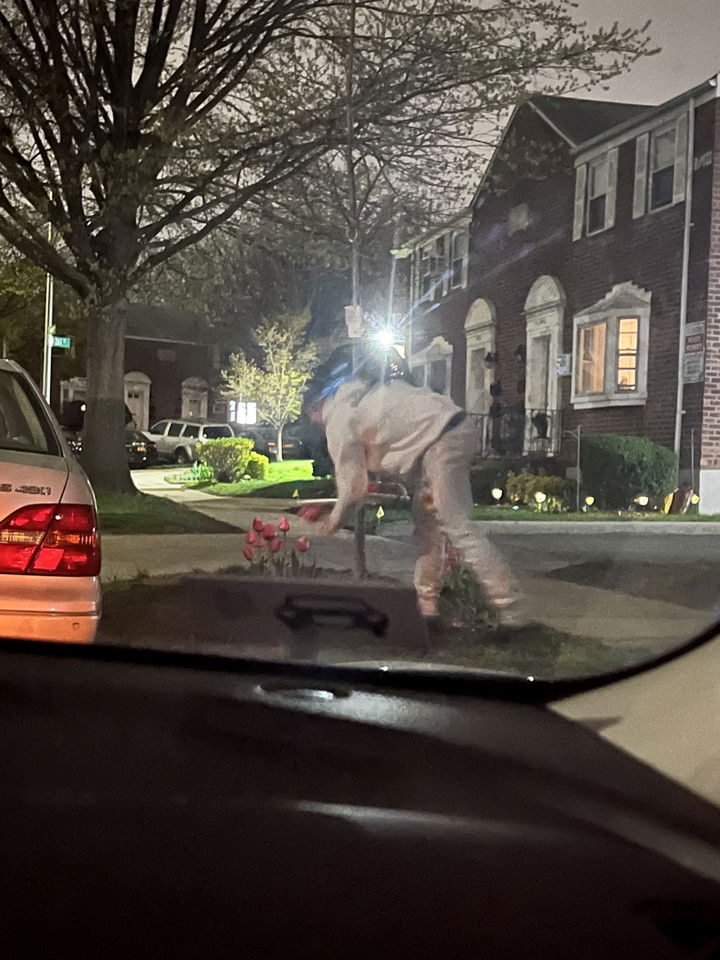 ava_savinoo snapchat image archive image