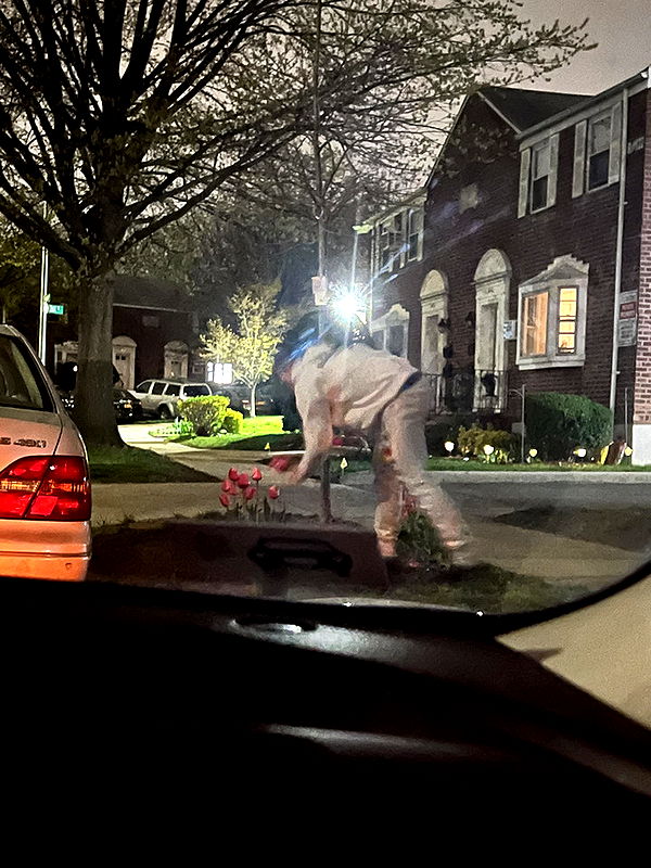 ava_savinoo image ~ Altpins