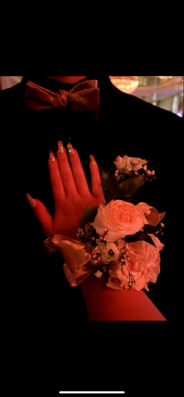 ava_savinoo image ~ Altpins