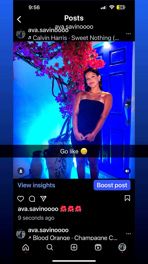 ava_savinoo image ~ Altpins