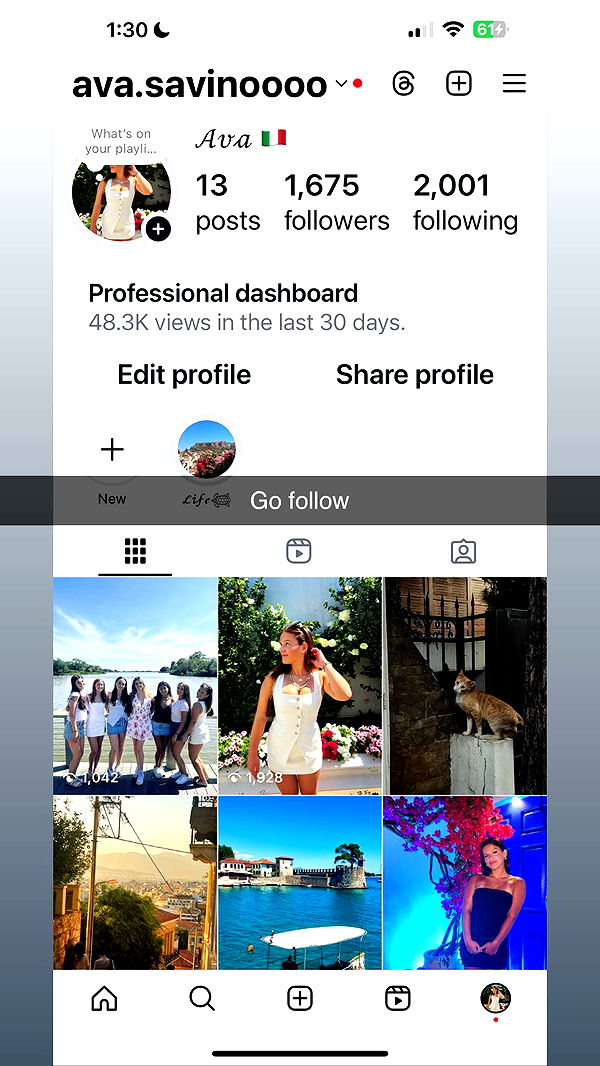 ava_savinoo image ~ Altpins