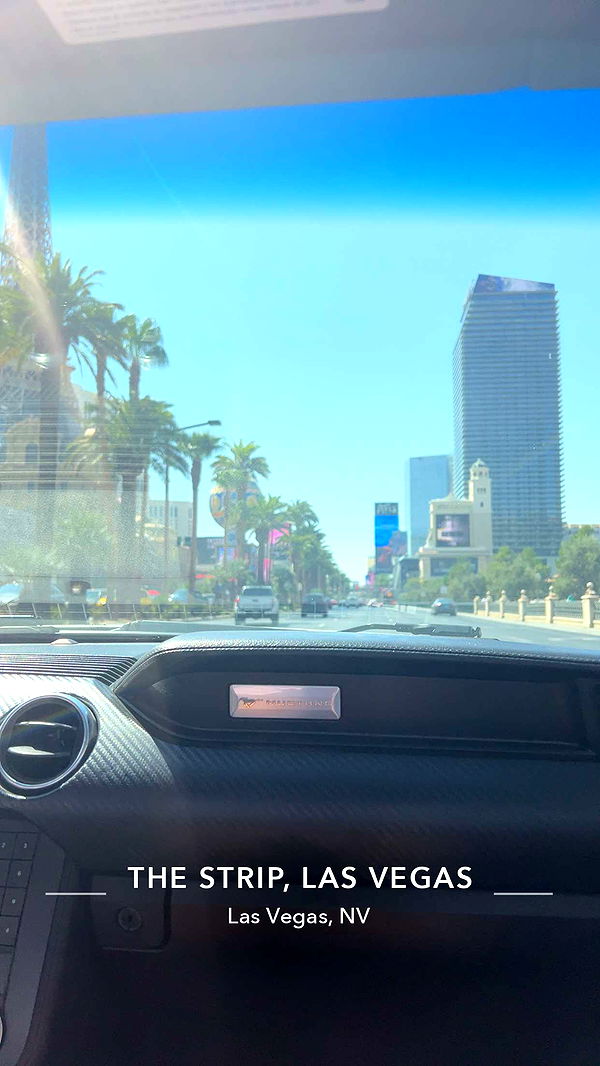 ava_savinoo image ~ Altpins