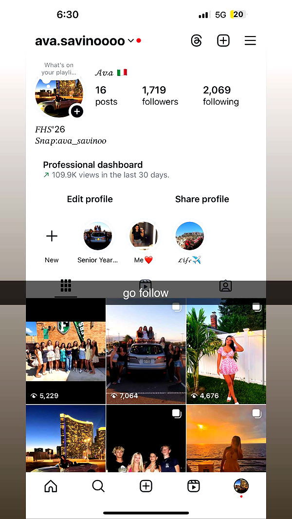 ava_savinoo image ~ Altpins