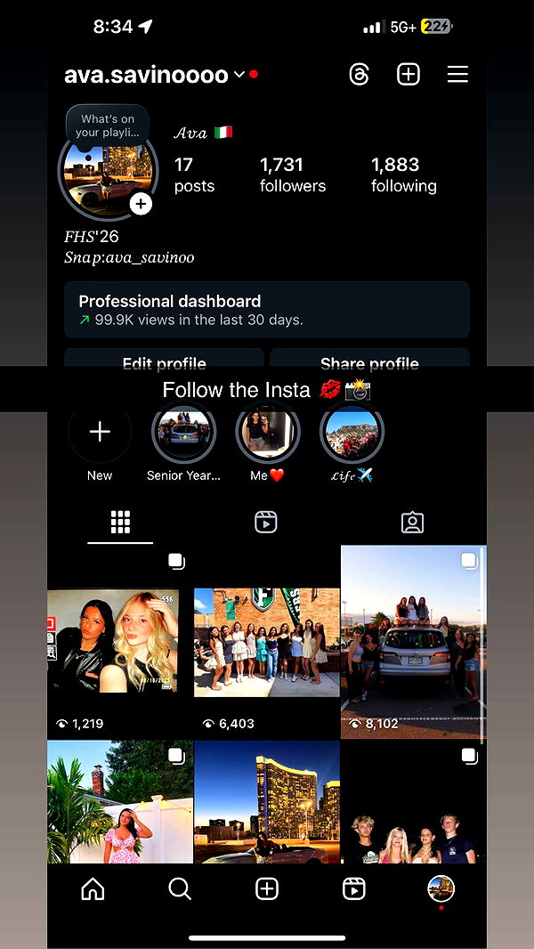 ava_savinoo image ~ Altpins