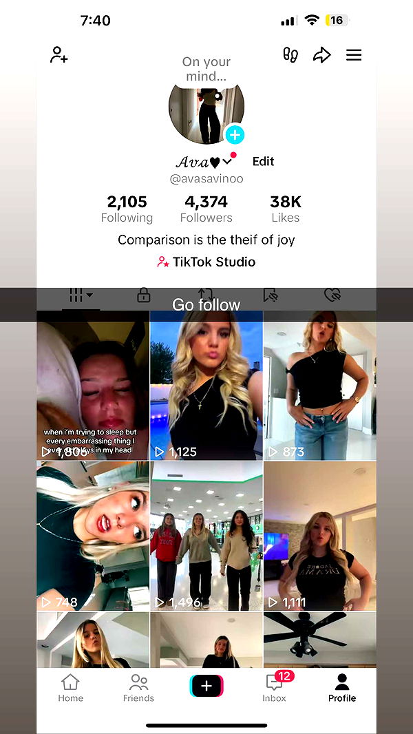 ava_savinoo image ~ Altpins