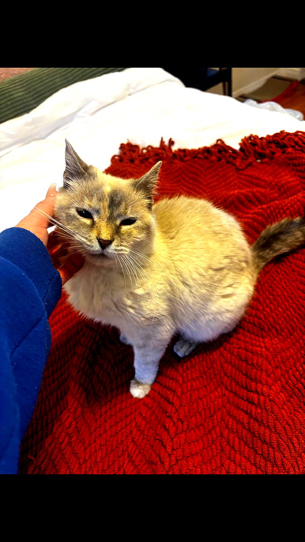 avuhrey image ~ Altpins