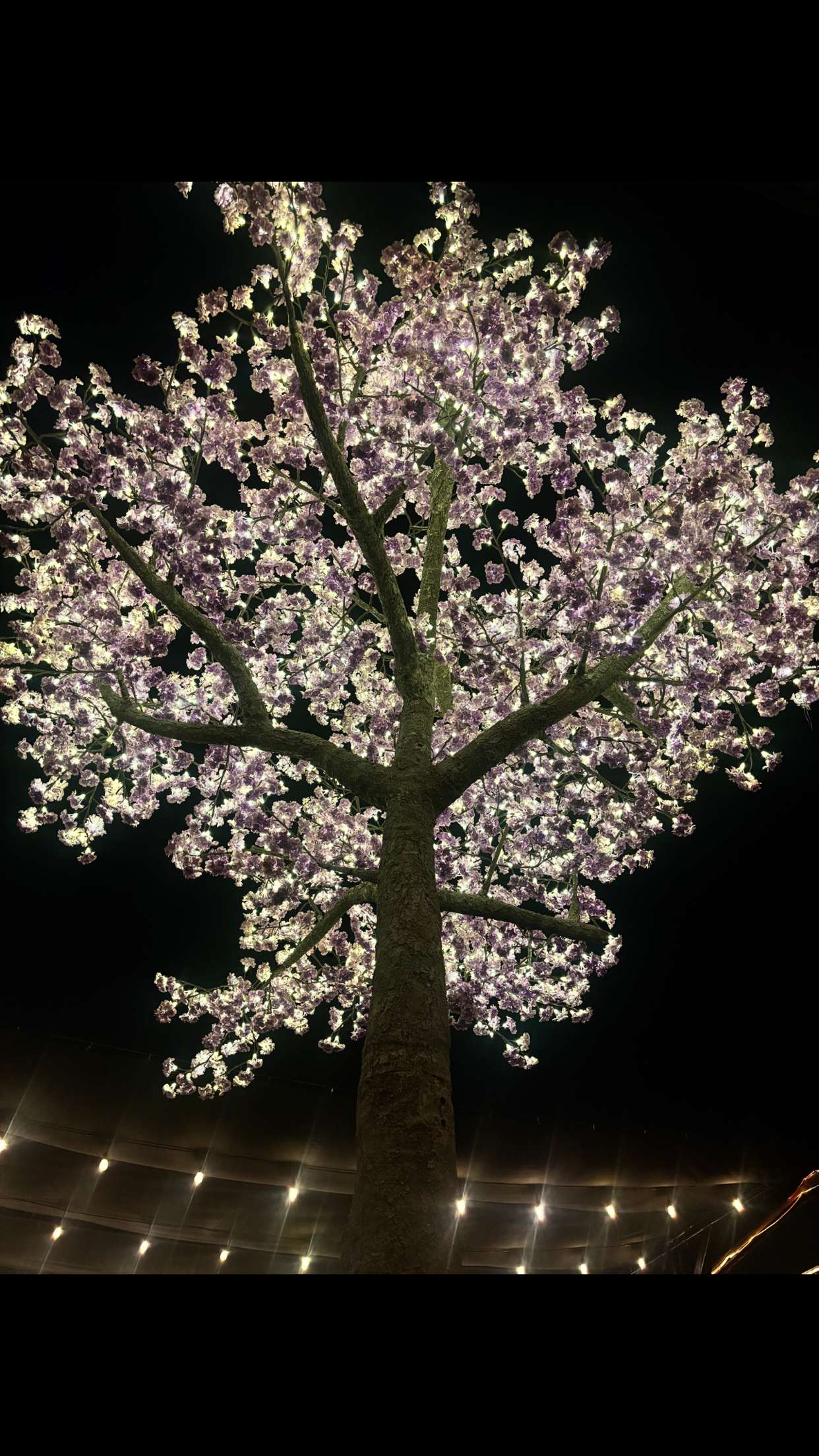 avuhrey snapchat image archive image