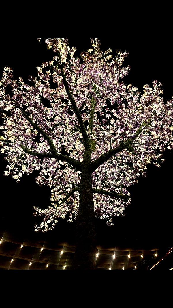 avuhrey image ~ Altpins