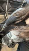 awesome.nads Altpins Profile Picture