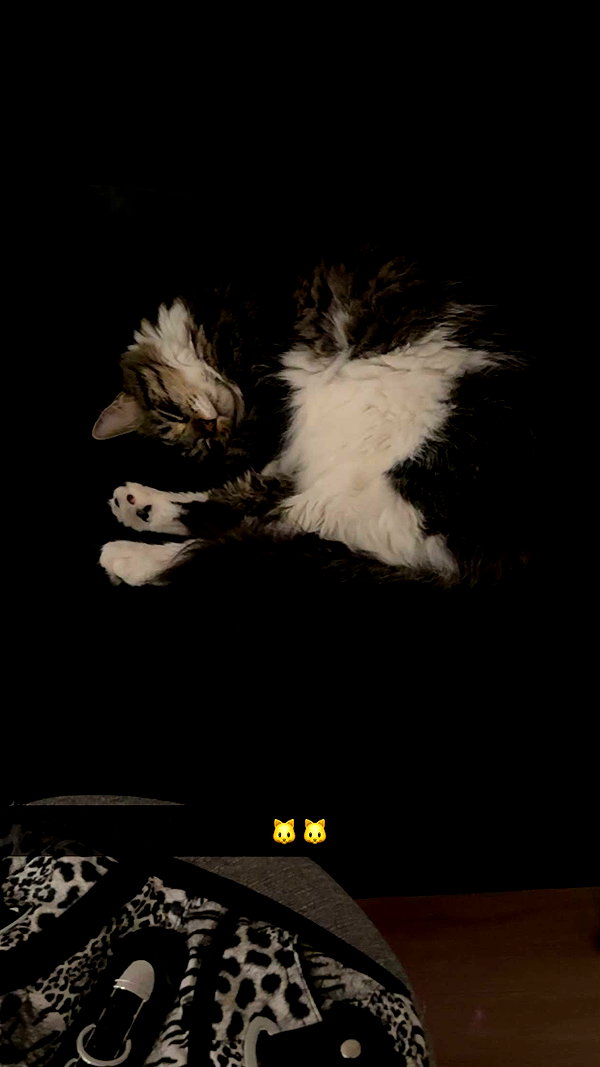 awesome.nads snapchat image archive image