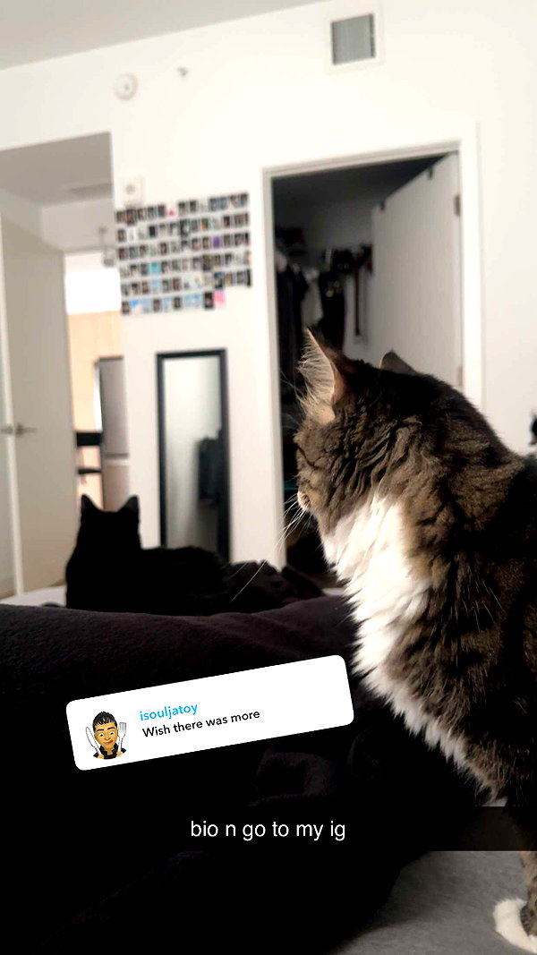 awesome.nads snapchat image archive image