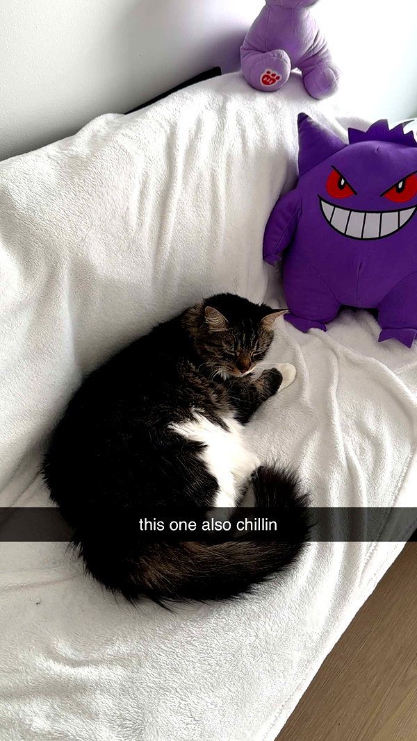 awesome.nads snapchat image archive image