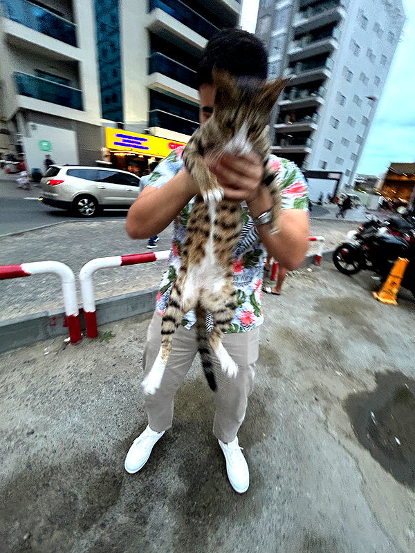 b0mbette snapchat image archive image