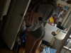 b0mbette Altpins Profile Picture