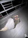 b0mbette Altpins Profile Picture